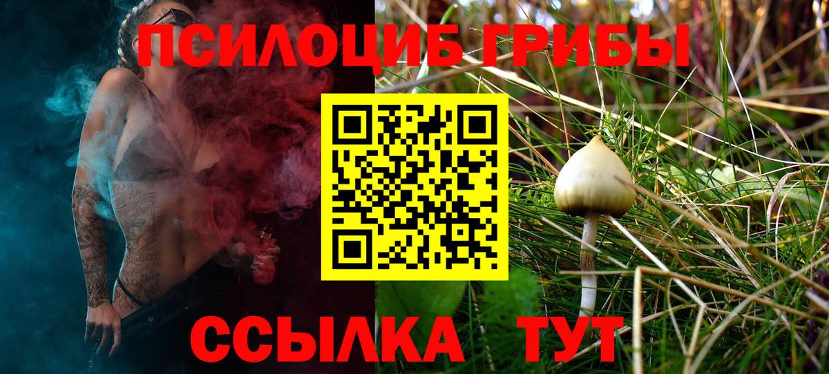 Галлюциногенные грибы Magic Shrooms  Вход с VPN  закладка  Назрань  Галлюциногенные грибы Psilocybine cubensis 