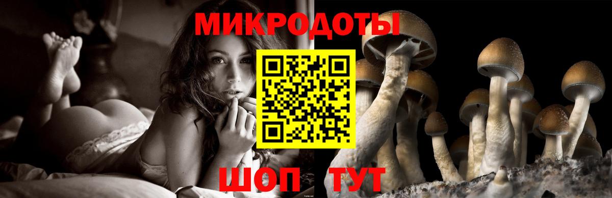 Галлюциногенные грибы мицелий Назрань